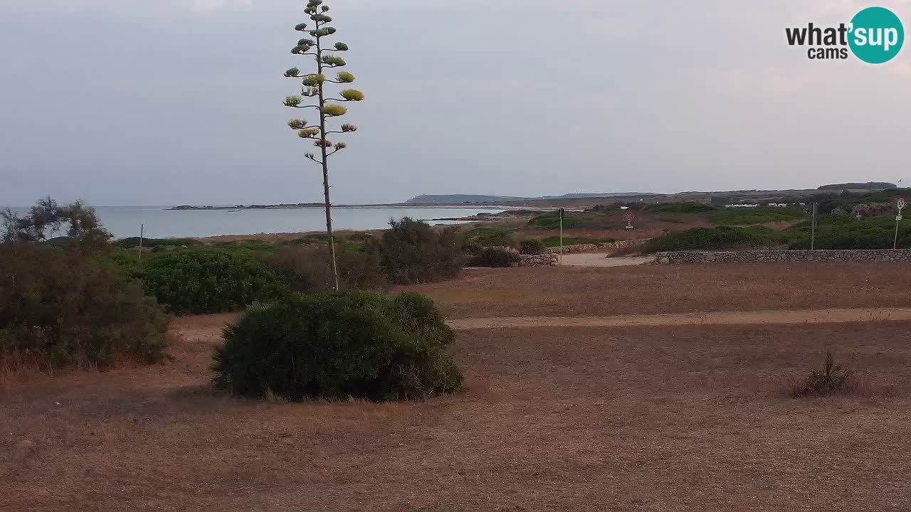Plaža Mari Ermi | Is Arutas – Oristano