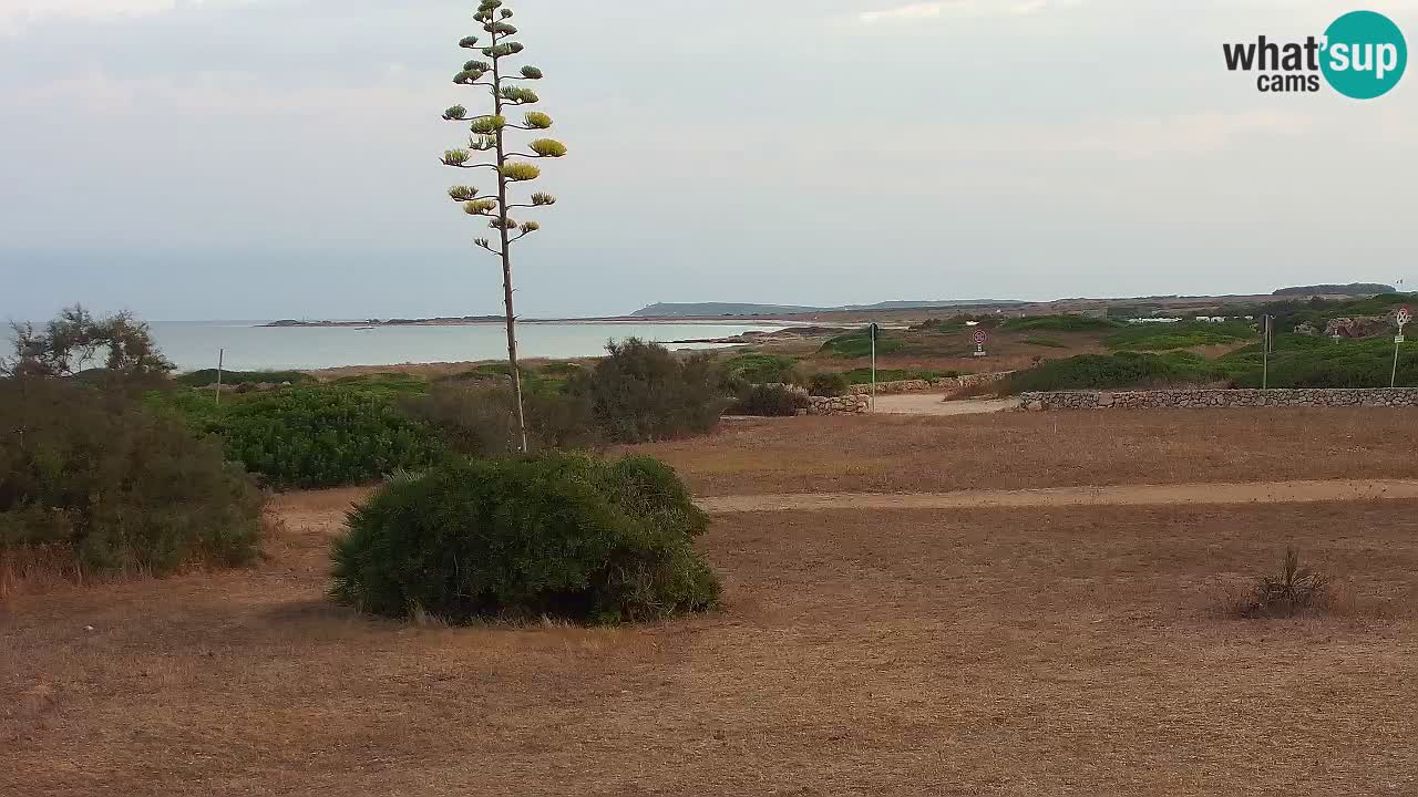 Plage Mari Ermi | Is Arutas – Oristano