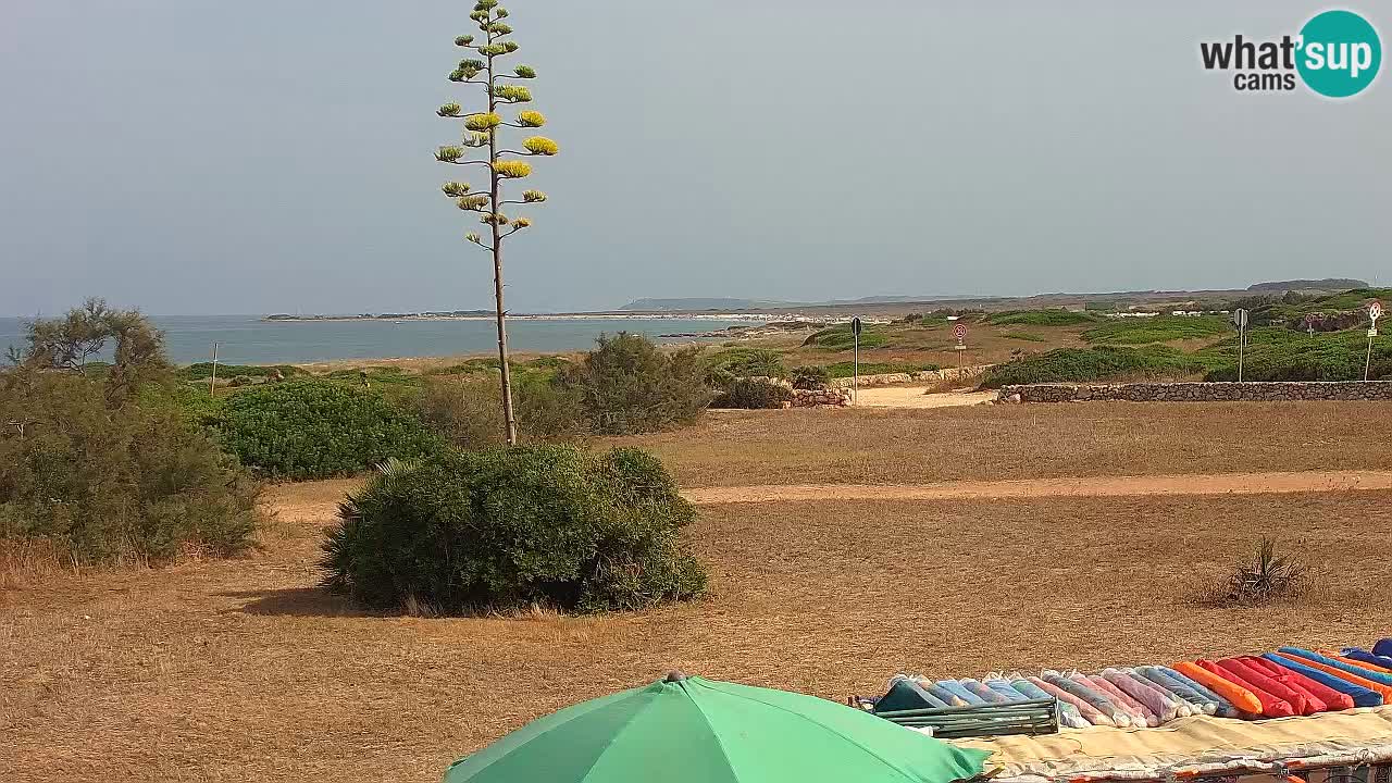 Mari Ermi Strand | Is Arutas – Oristano