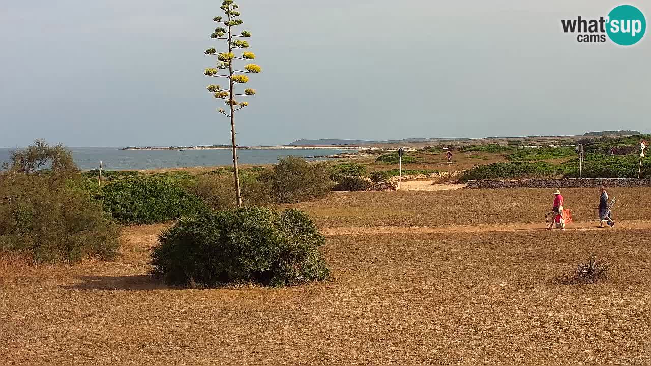 Playa Mari Ermi | Is Arutas – Oristano
