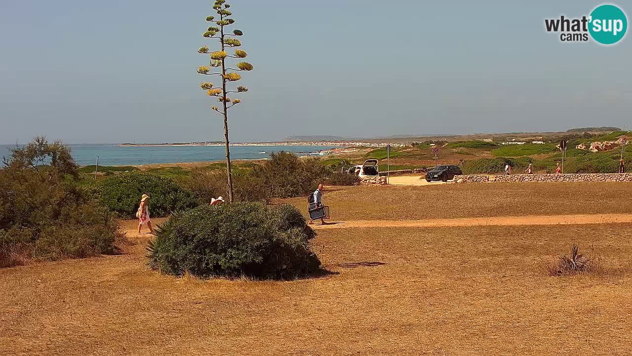 Mari Ermi beach | Is Arutas – Oristano