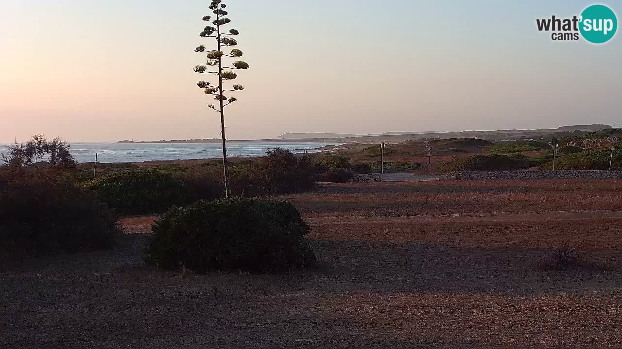 Plaža Mari Ermi | Is Arutas – Oristano