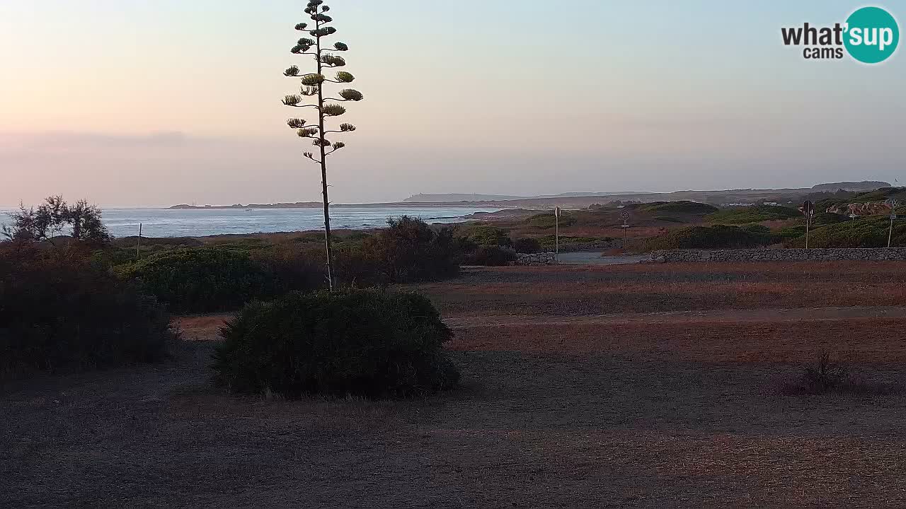 Mari Ermi Strand | Is Arutas – Oristano