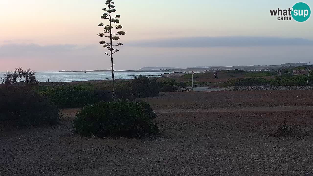 Plage Mari Ermi | Is Arutas – Oristano