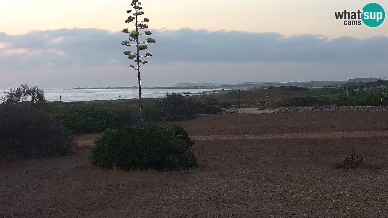 Mari Ermi Strand | Is Arutas – Oristano