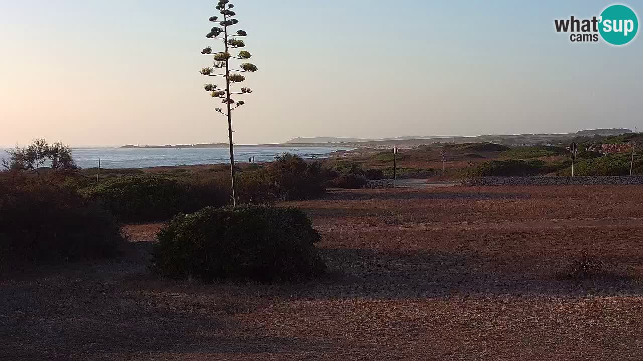 Plaža Mari Ermi | Is Arutas – Oristano