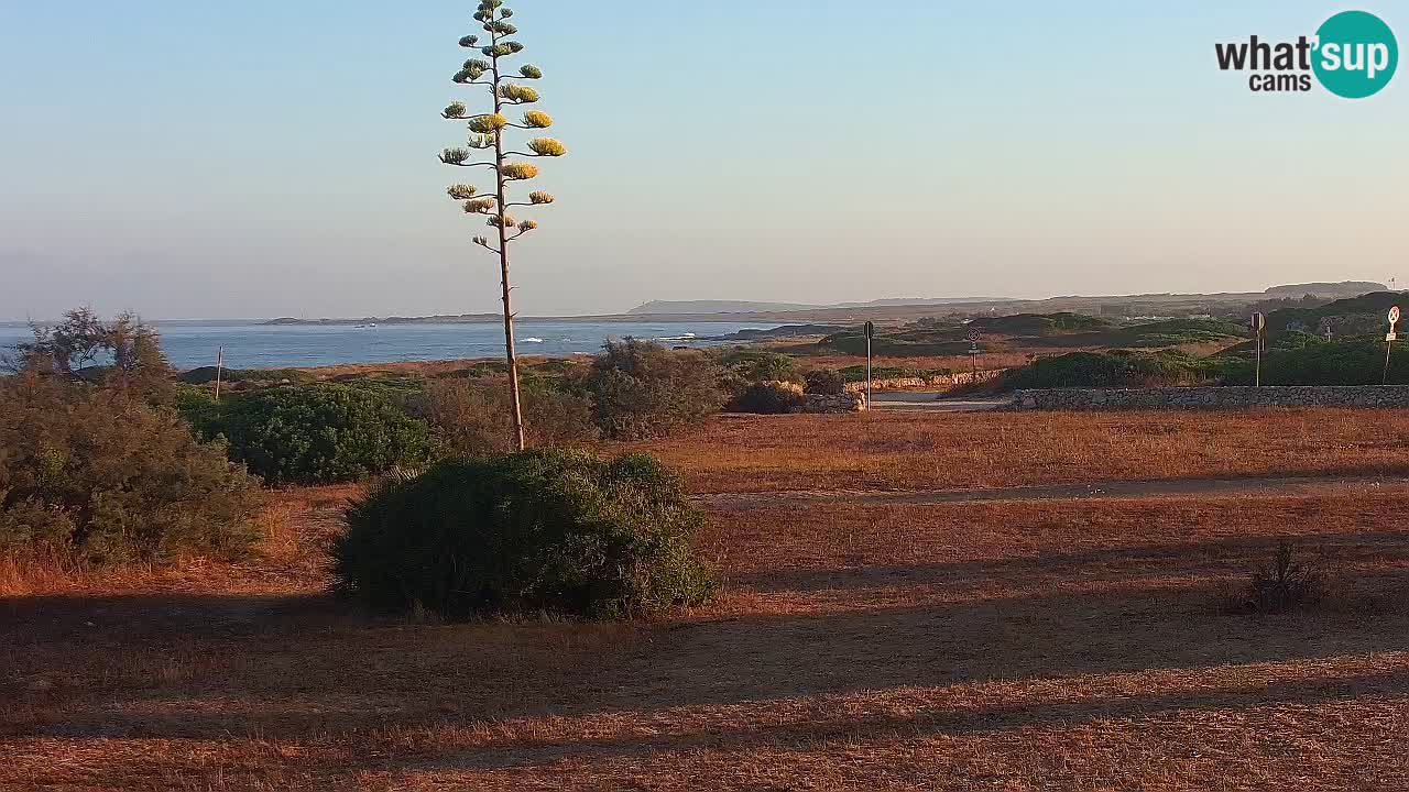 Plage Mari Ermi | Is Arutas – Oristano