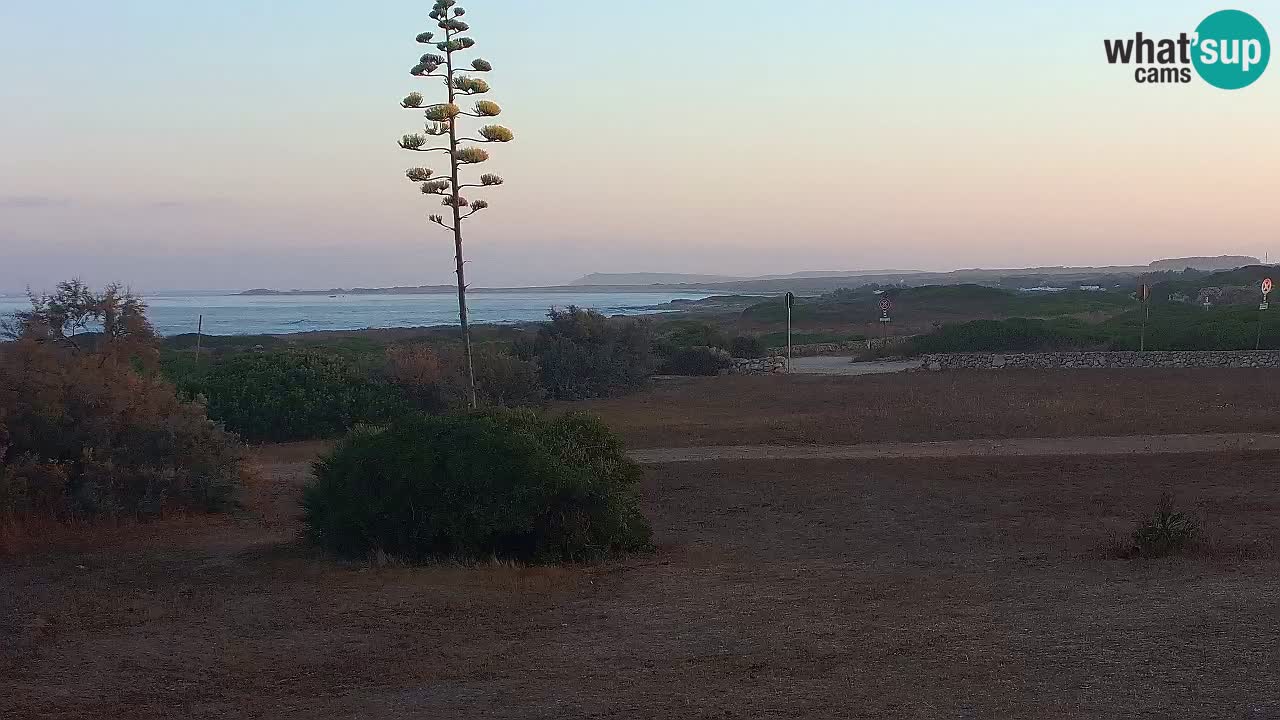 Mari Ermi beach | Is Arutas – Oristano