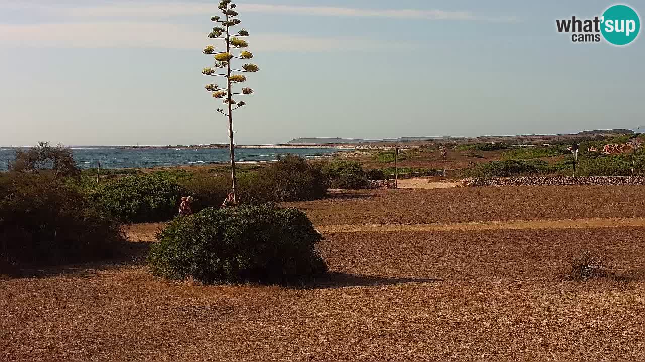 Mari Ermi beach | Is Arutas – Oristano