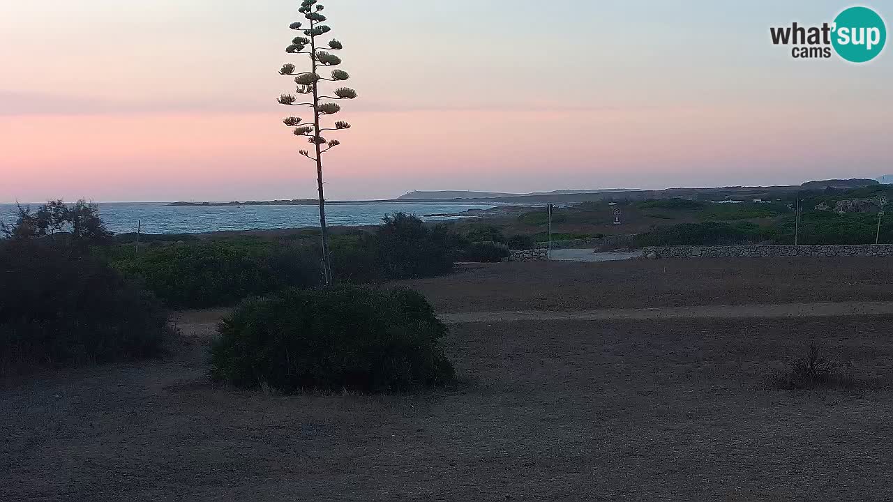 Mari Ermi beach | Is Arutas – Oristano