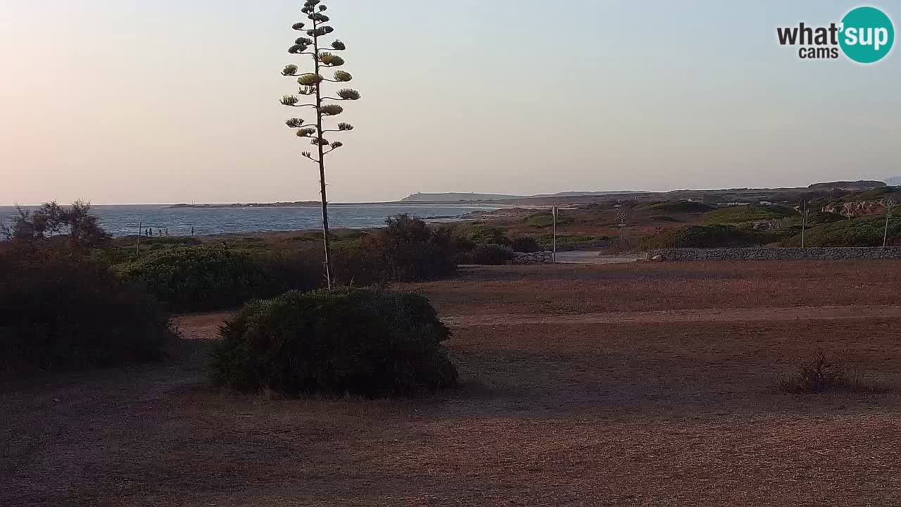 Mari Ermi beach | Is Arutas – Oristano