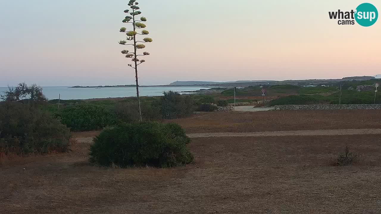 Plage Mari Ermi | Is Arutas – Oristano