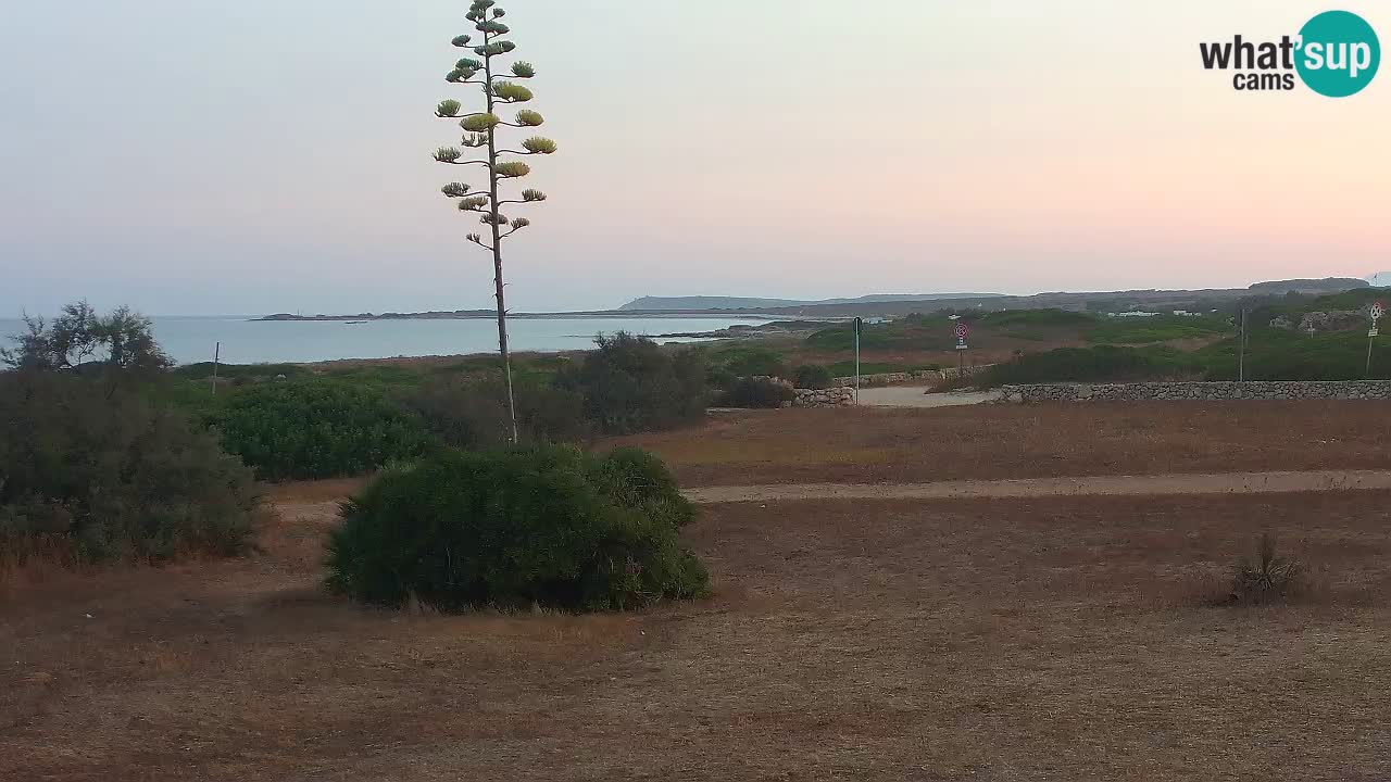 Mari Ermi beach | Is Arutas – Oristano