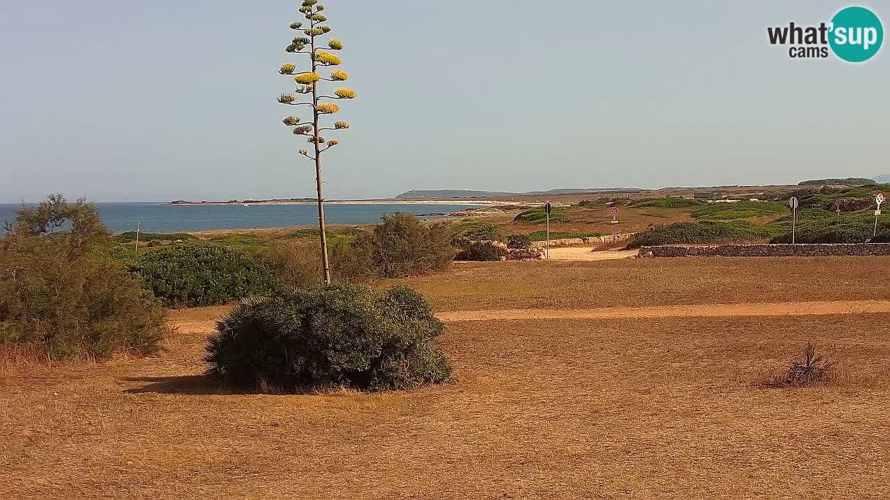 Spiaggia Mari Ermi | Is Arutas – Oristano
