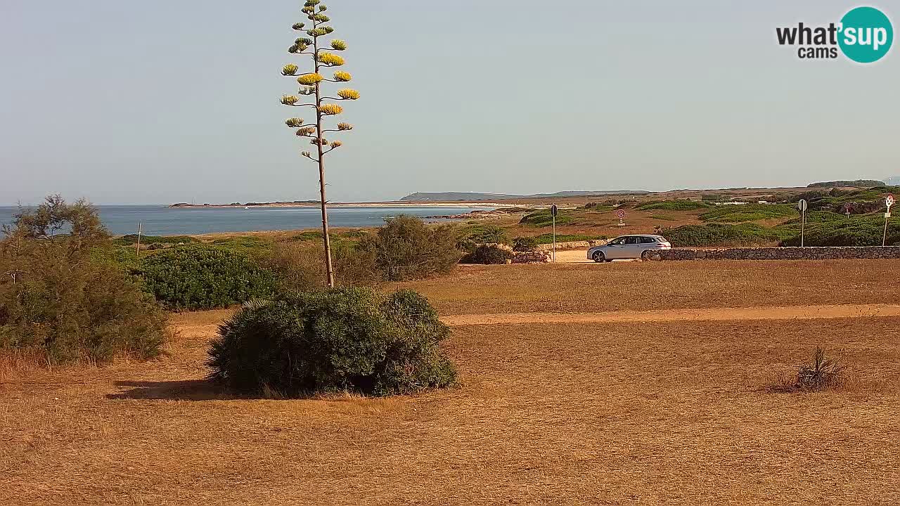 Mari Ermi Strand | Is Arutas – Oristano