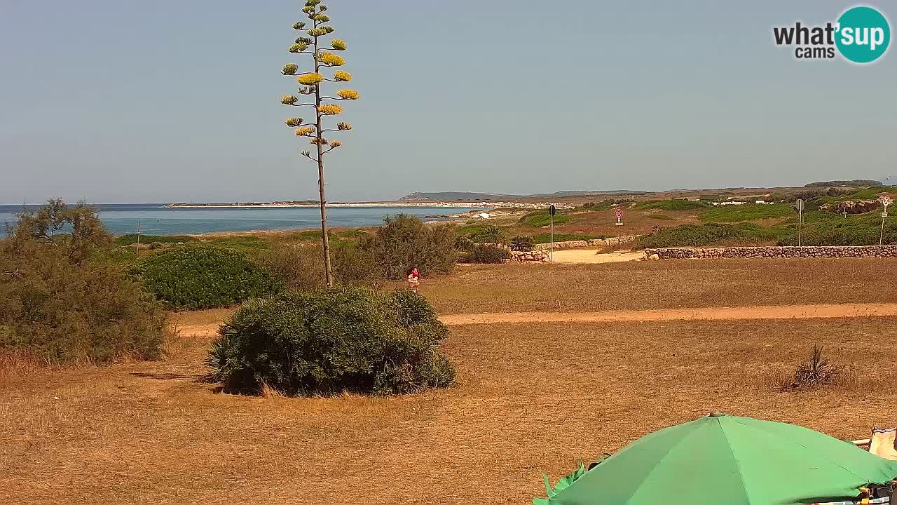 Mari Ermi beach | Is Arutas – Oristano