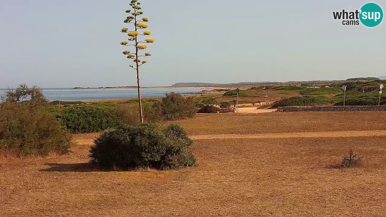 Mari Ermi Strand | Is Arutas – Oristano