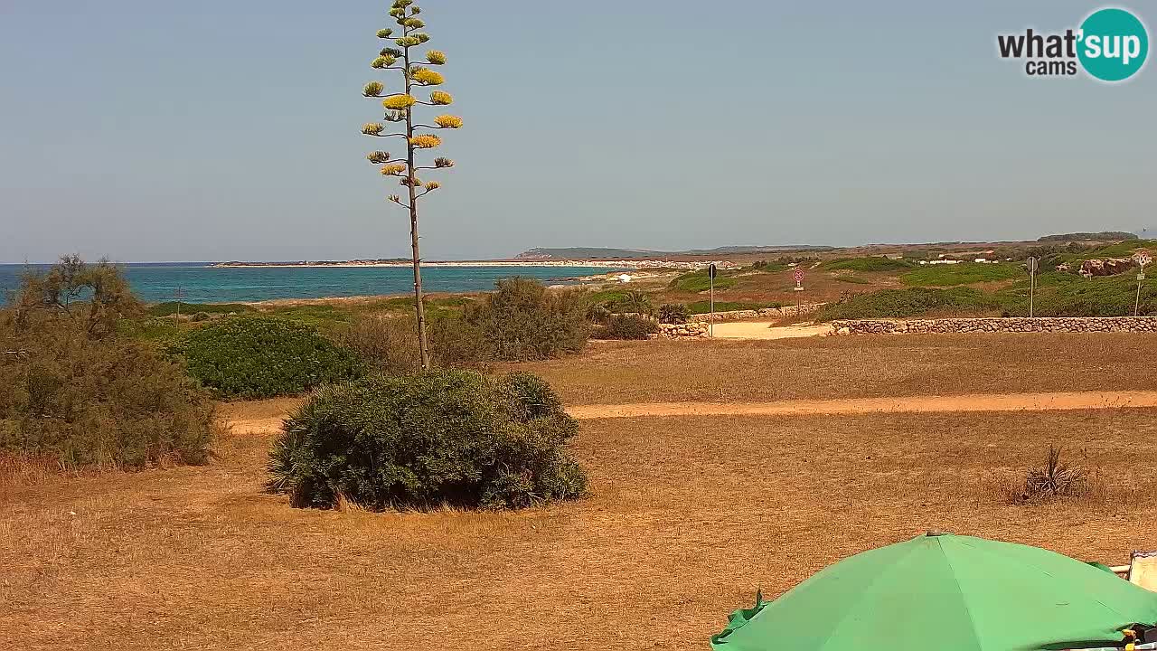 Mari Ermi beach | Is Arutas – Oristano
