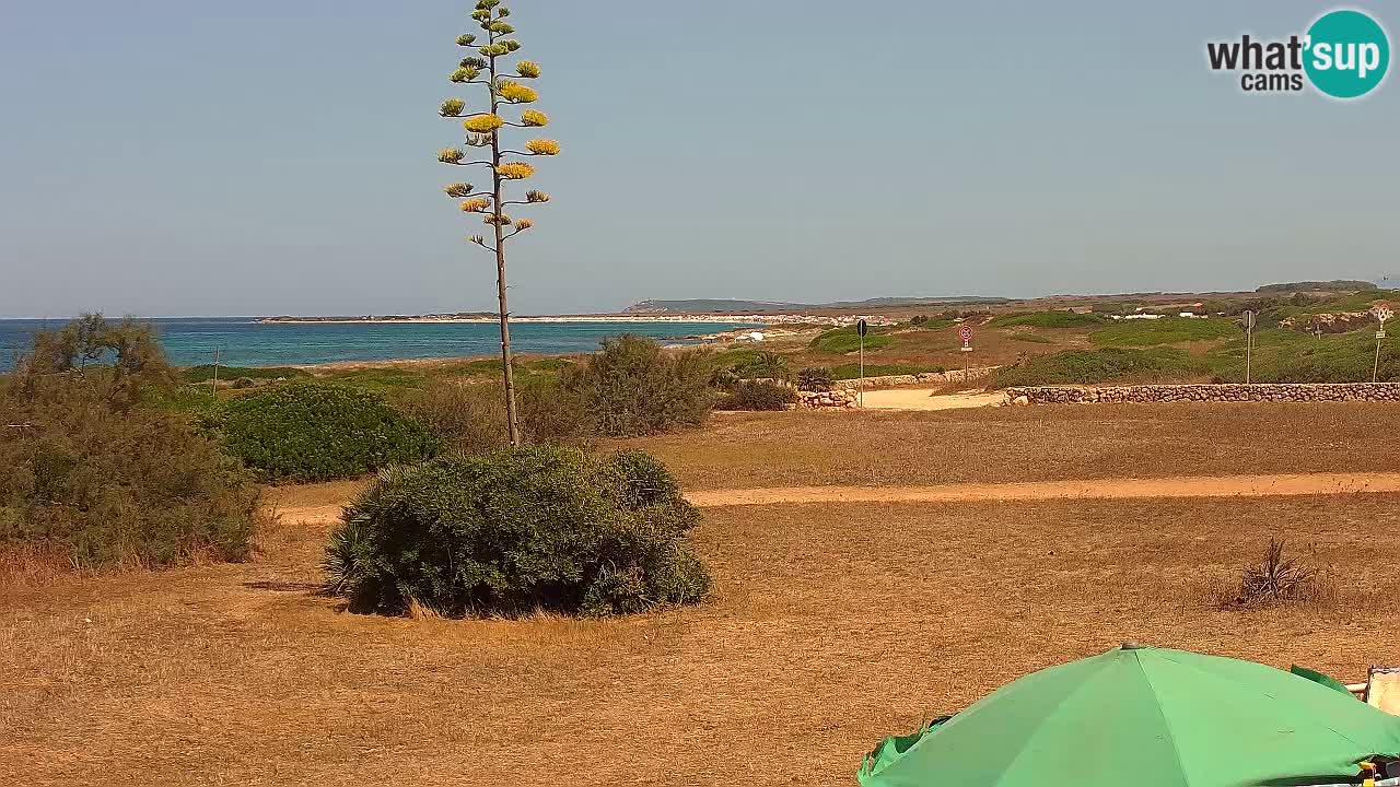 Mari Ermi Strand | Is Arutas – Oristano
