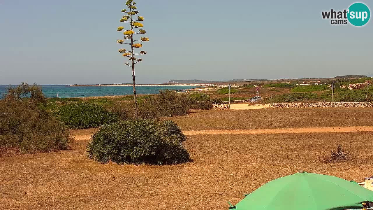 Mari Ermi beach | Is Arutas – Oristano
