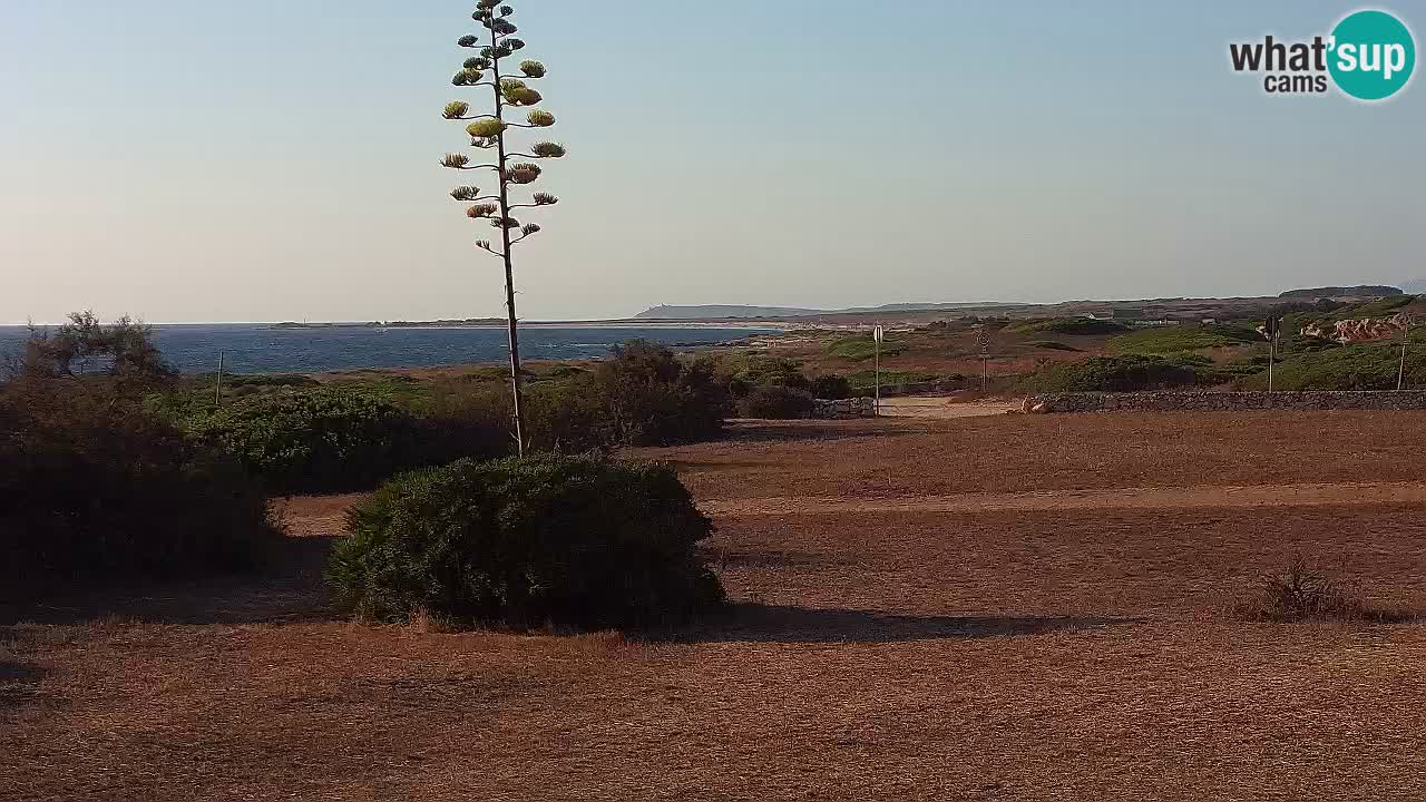 Plaža Mari Ermi | Is Arutas – Oristano