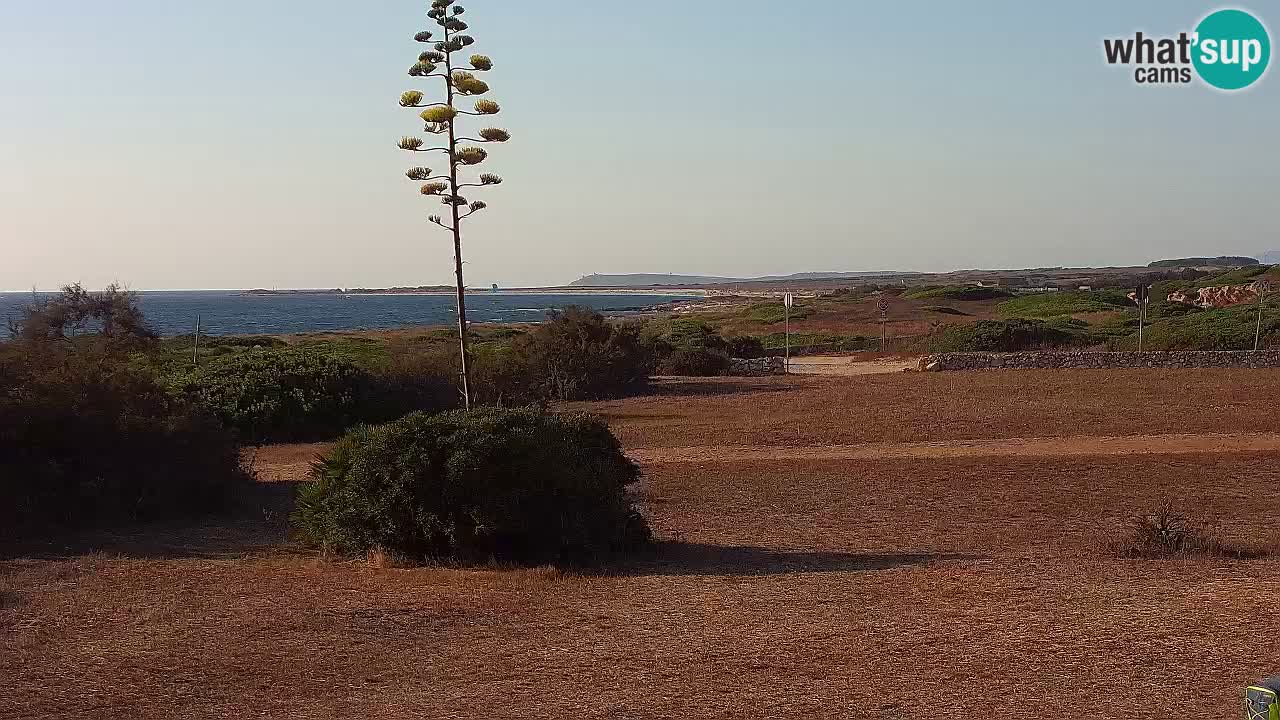 Mari Ermi beach | Is Arutas – Oristano