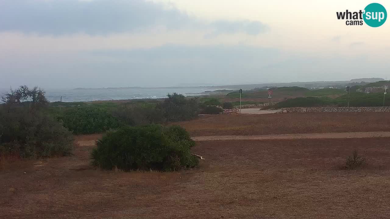 Mari Ermi Strand | Is Arutas – Oristano