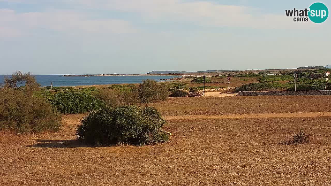 Playa Mari Ermi | Is Arutas – Oristano