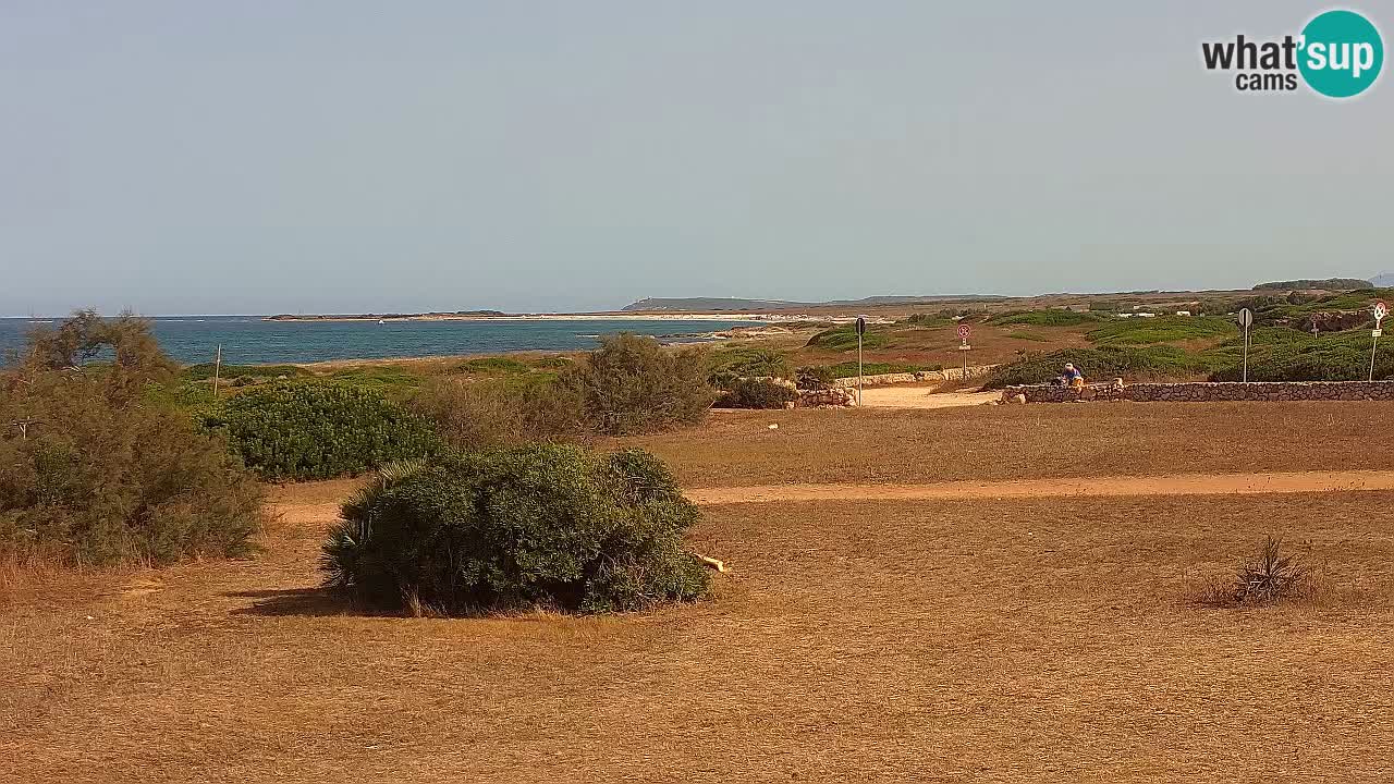 Playa Mari Ermi | Is Arutas – Oristano