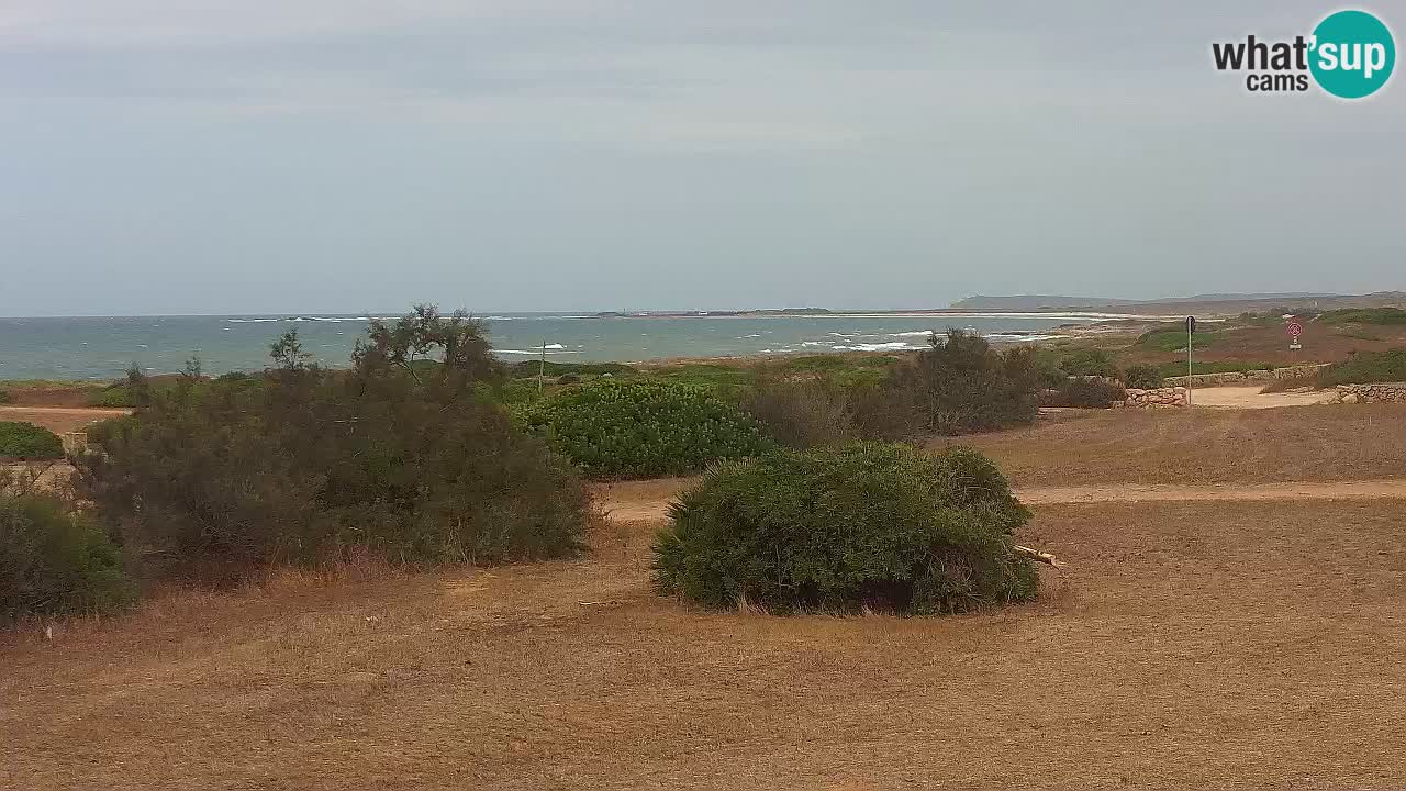 Plaža Mari Ermi | Is Arutas – Oristano