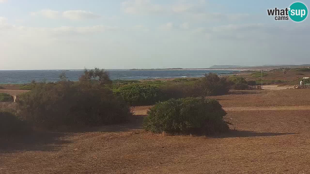 Plaža Mari Ermi | Is Arutas – Oristano