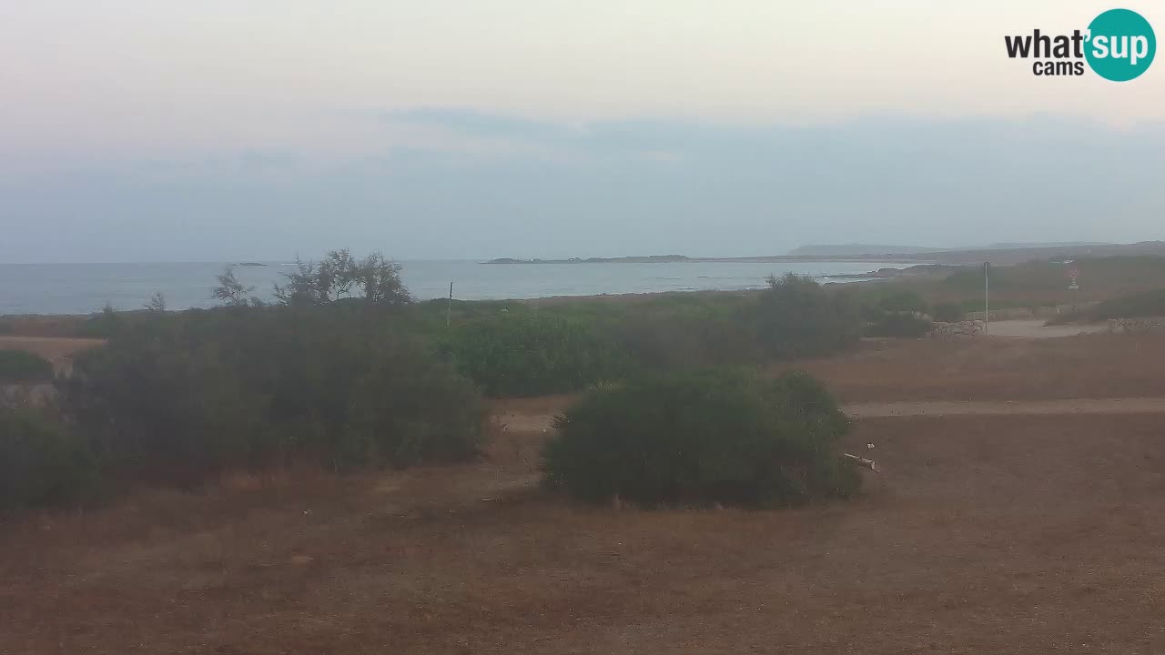 Mari Ermi Strand | Is Arutas – Oristano