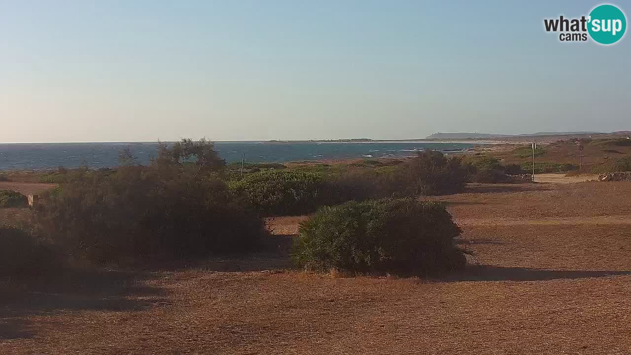 Mari Ermi Strand | Is Arutas – Oristano