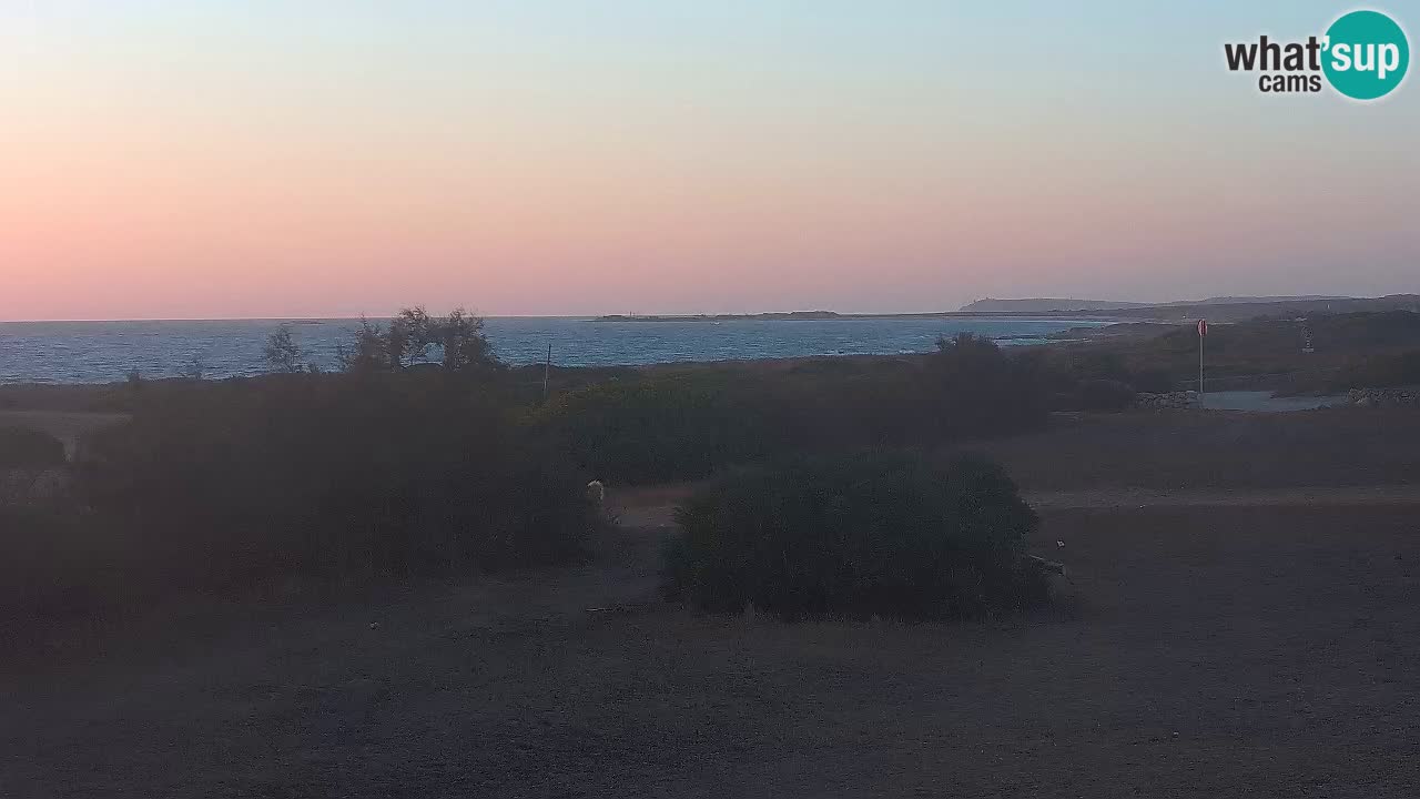 Plaža Mari Ermi | Is Arutas – Oristano