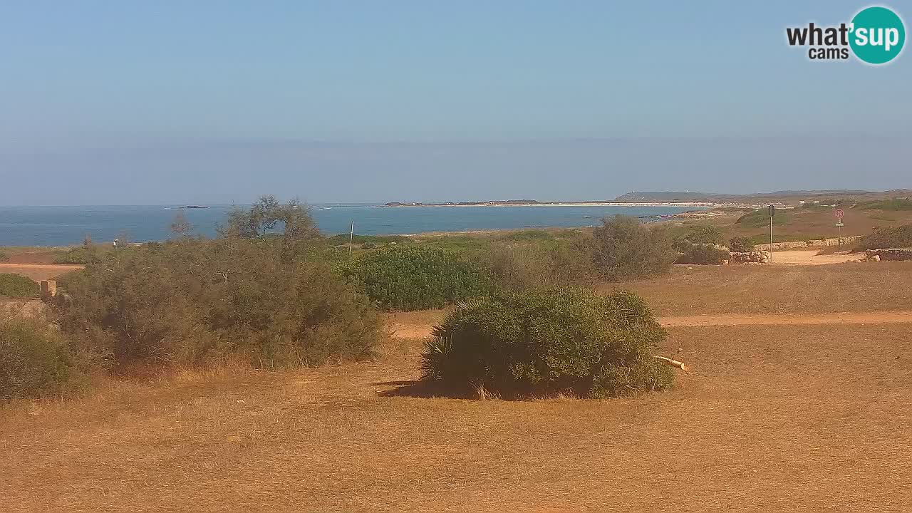 Mari Ermi Strand | Is Arutas – Oristano