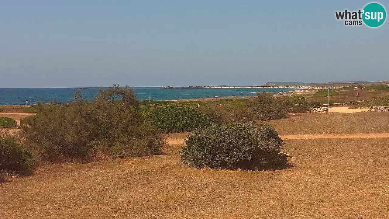 Mari Ermi Strand | Is Arutas – Oristano