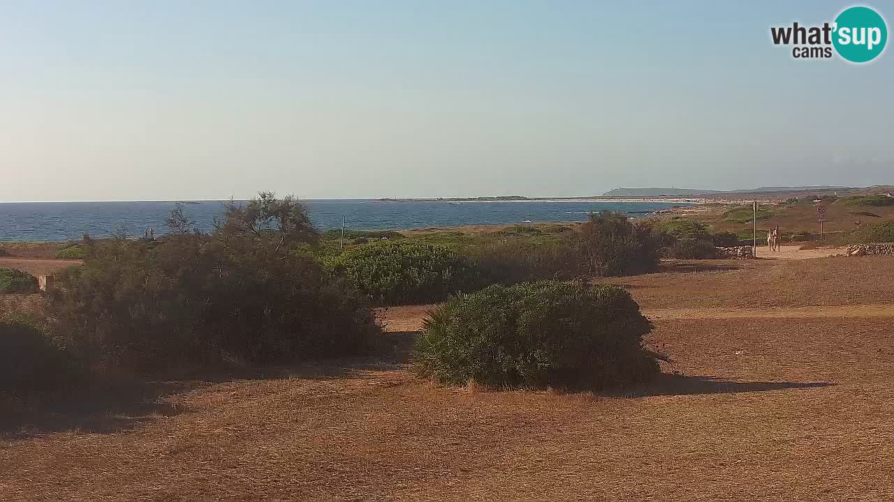 Mari Ermi Strand | Is Arutas – Oristano