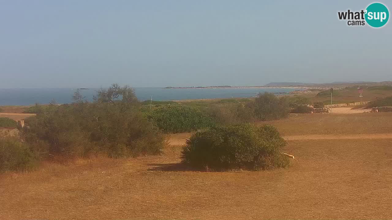 Playa Mari Ermi | Is Arutas – Oristano