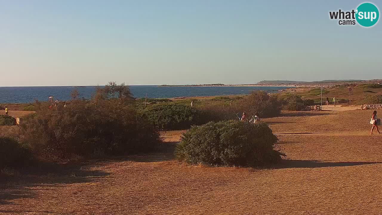 Spiaggia Mari Ermi | Is Arutas – Oristano