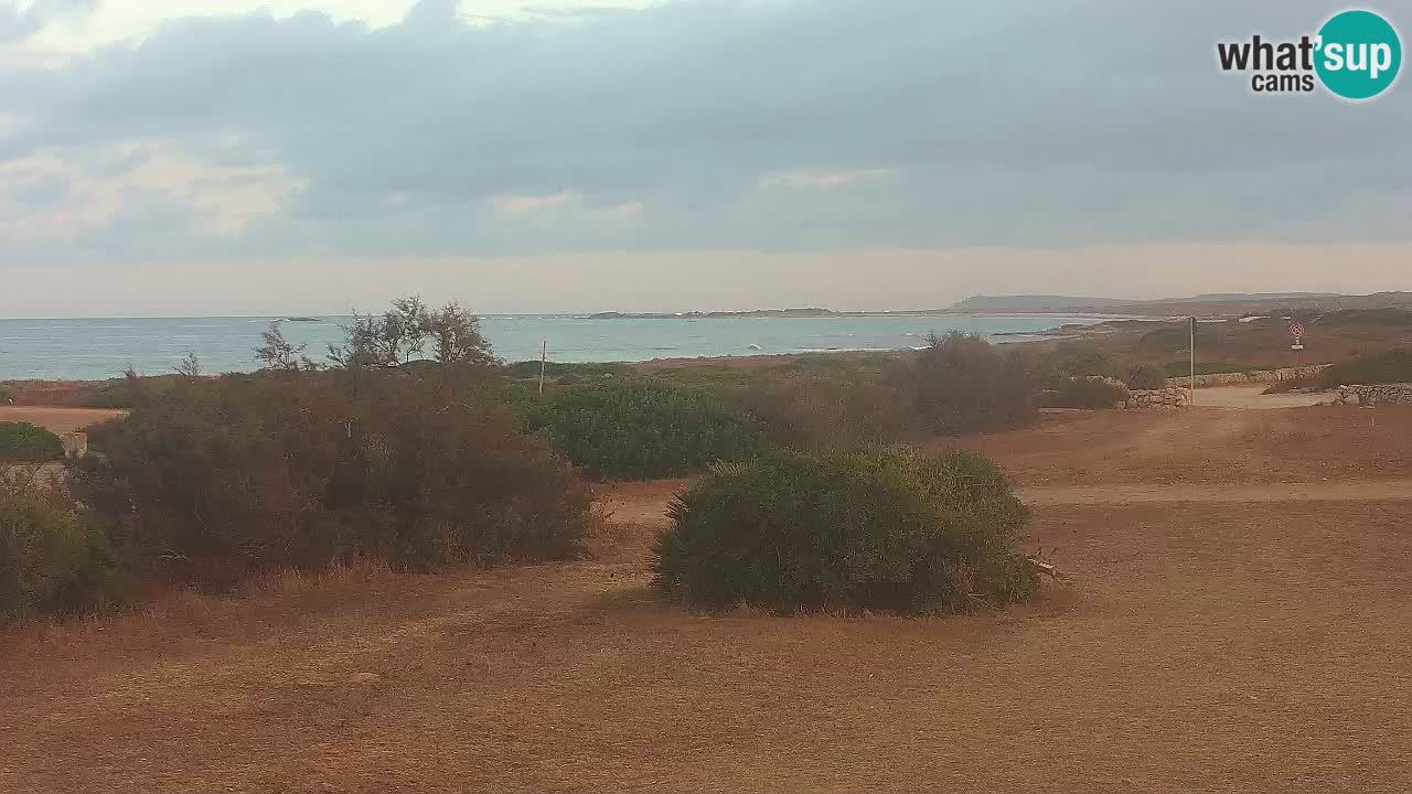 Mari Ermi Strand | Is Arutas – Oristano
