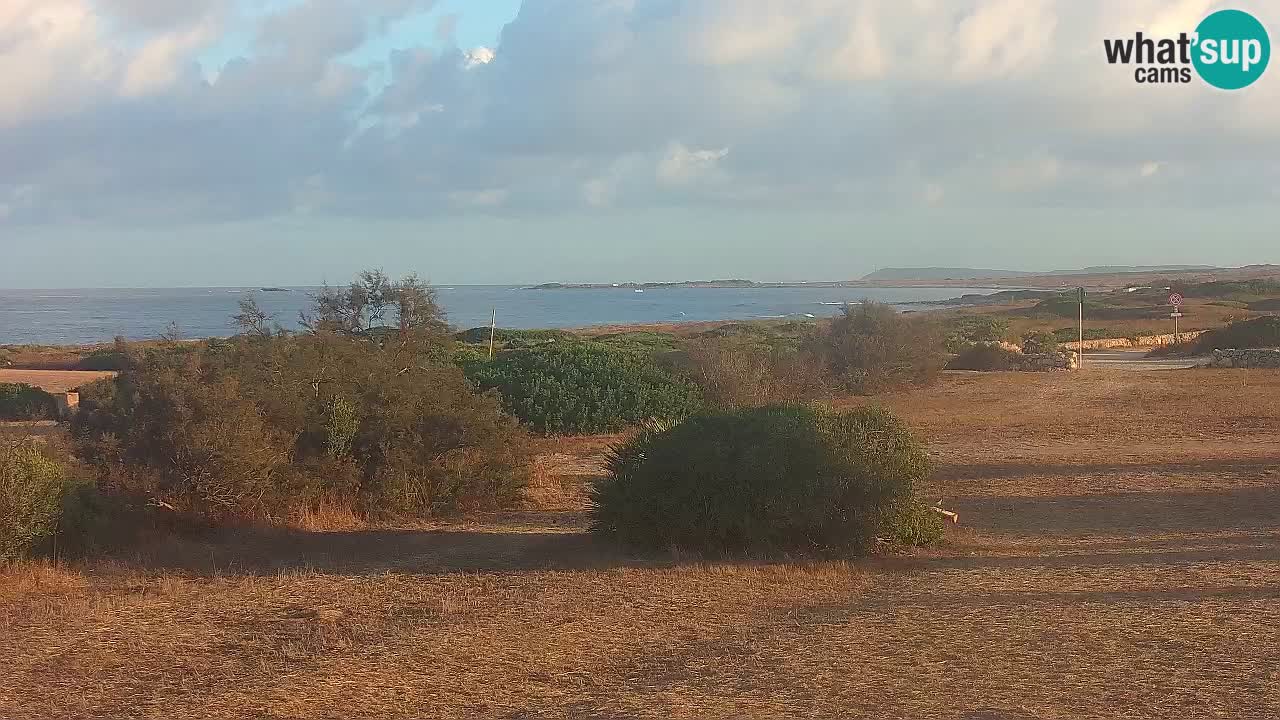 Plaža Mari Ermi | Is Arutas – Oristano