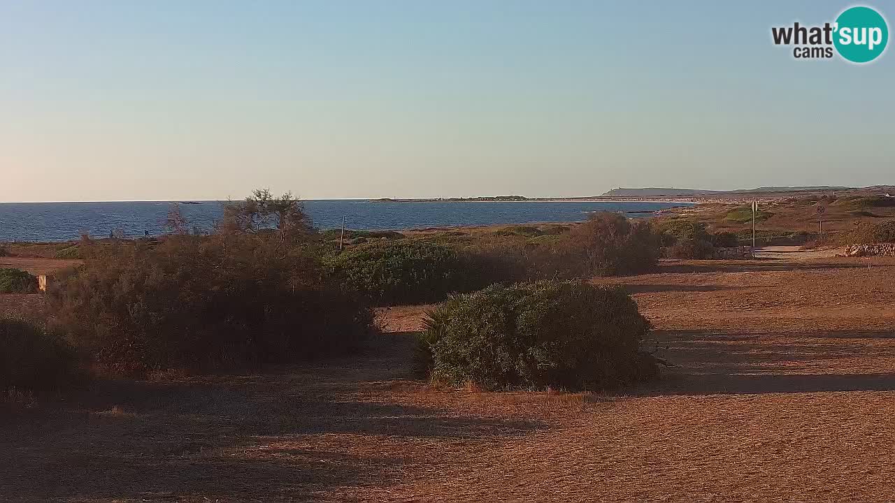 Mari Ermi Strand | Is Arutas – Oristano