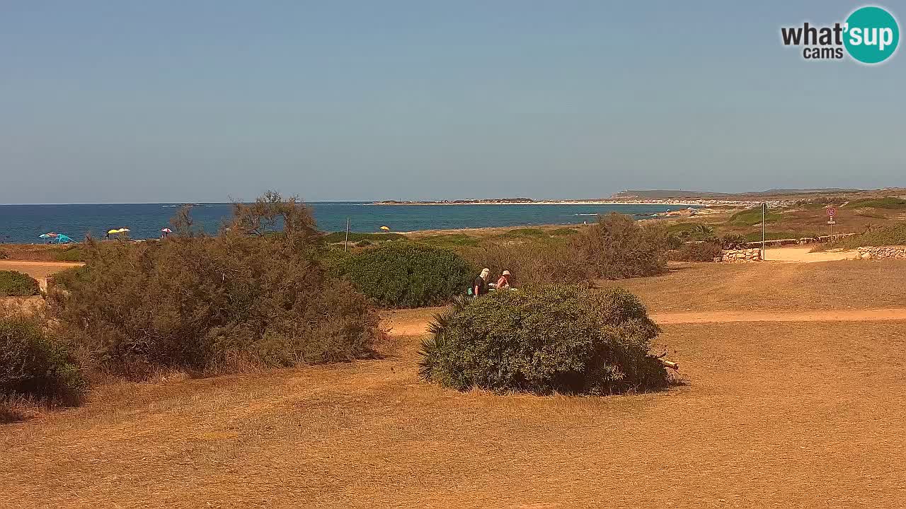 Playa Mari Ermi | Is Arutas – Oristano
