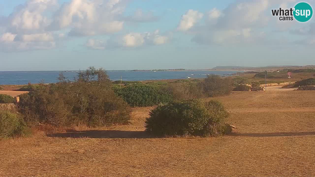 Mari Ermi Strand | Is Arutas – Oristano