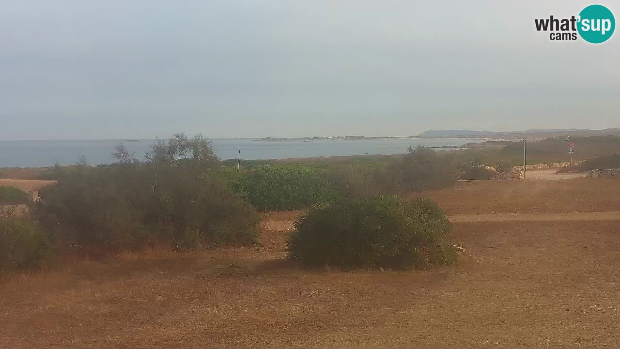 Plaža Mari Ermi | Is Arutas – Oristano