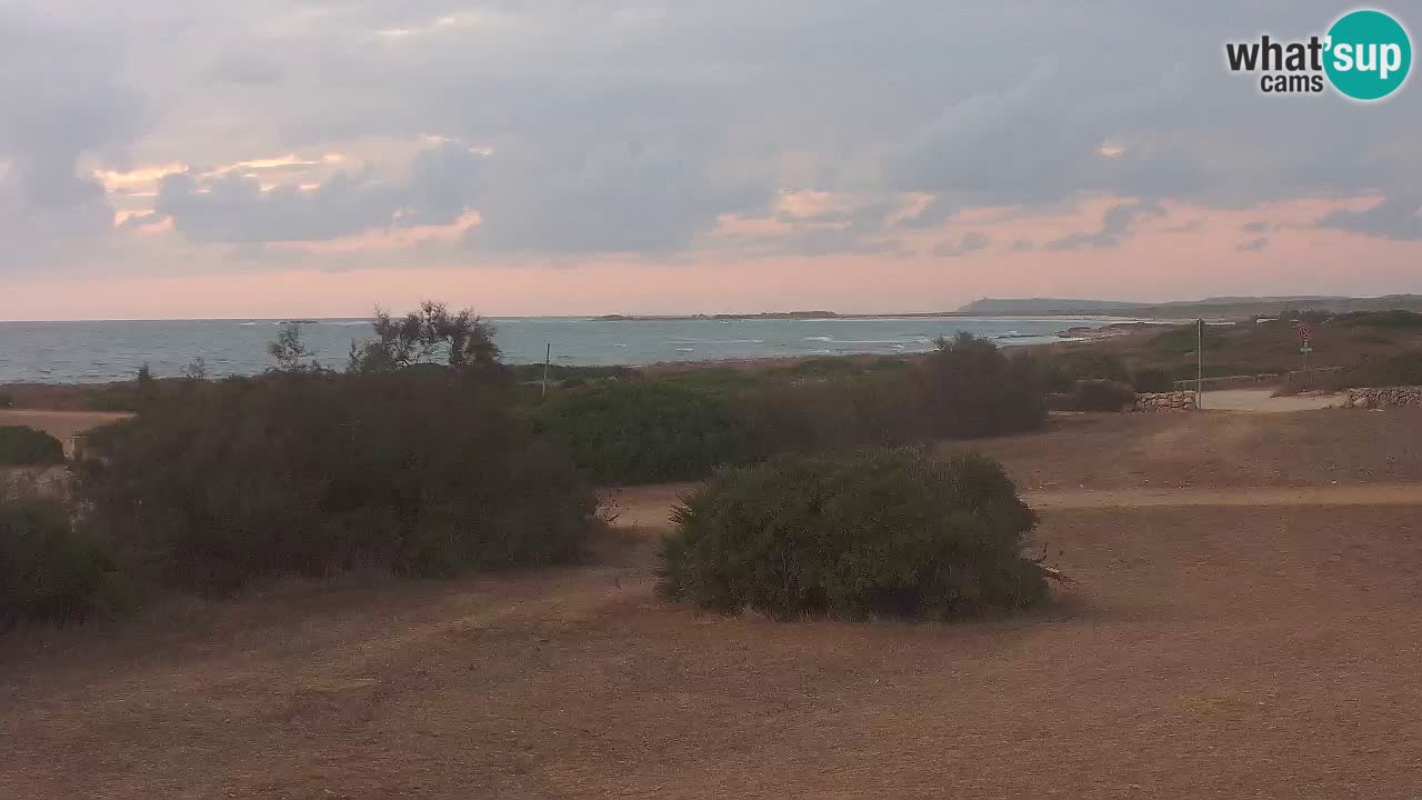 Plaža Mari Ermi | Is Arutas – Oristano