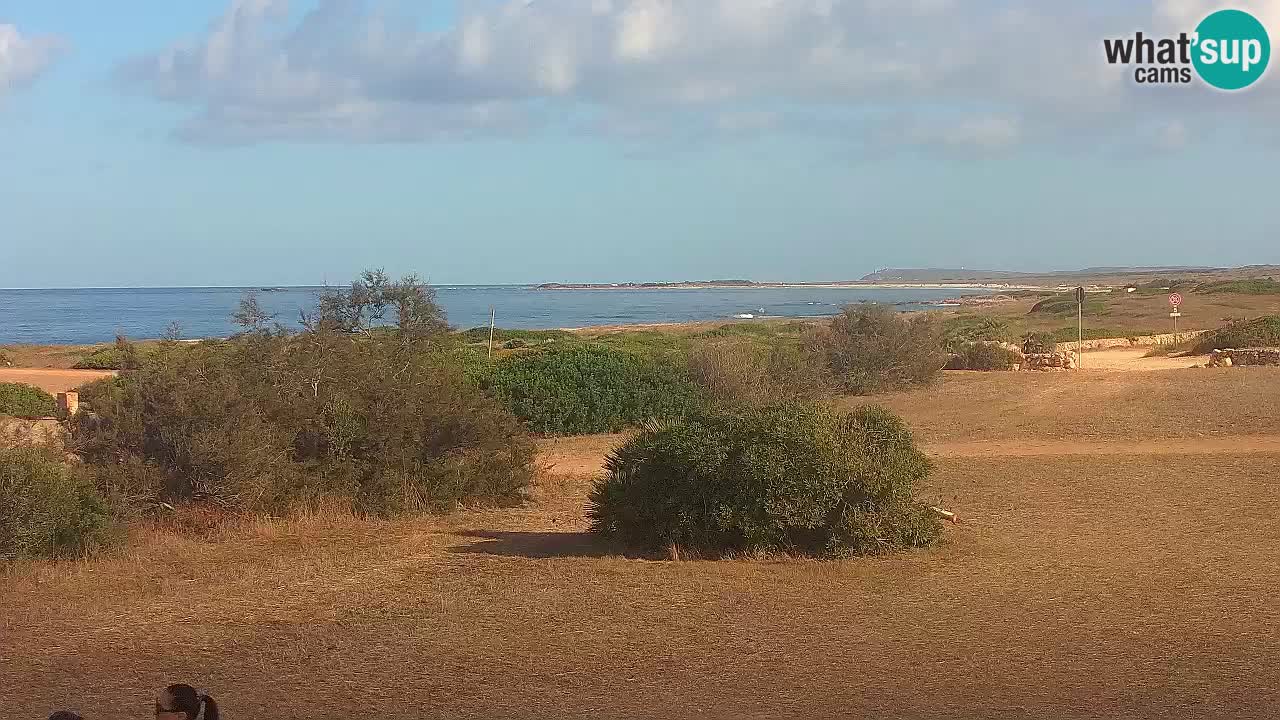 Plaža Mari Ermi | Is Arutas – Oristano