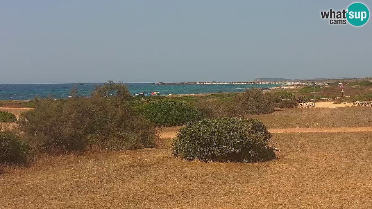 Mari Ermi Strand | Is Arutas – Oristano