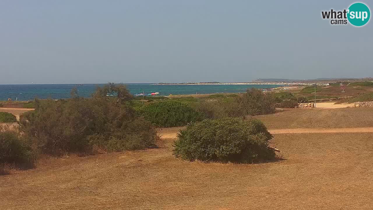 Plaža Mari Ermi | Is Arutas – Oristano