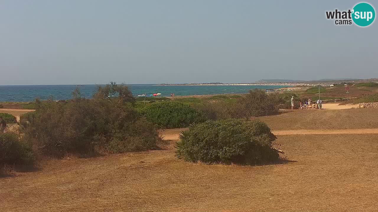 Plaža Mari Ermi | Is Arutas – Oristano